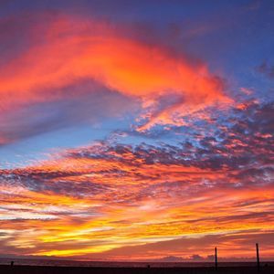 Meet your Posher, Colleen